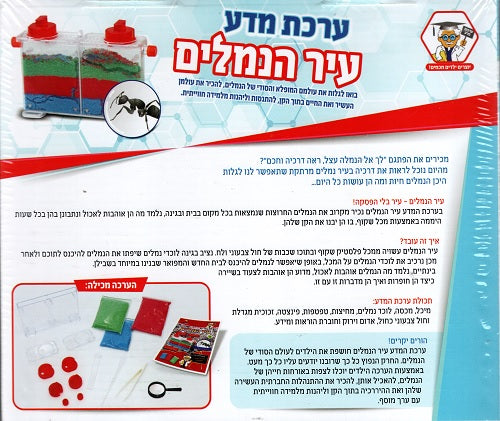 Ants City - Science Kit - Pashoshim.com