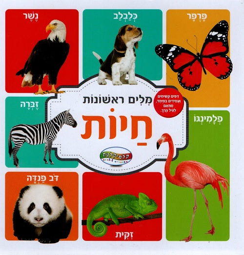 First words in Hebrew - Animals