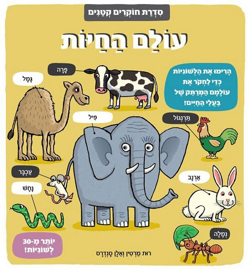 Little Explorers - The Animal World