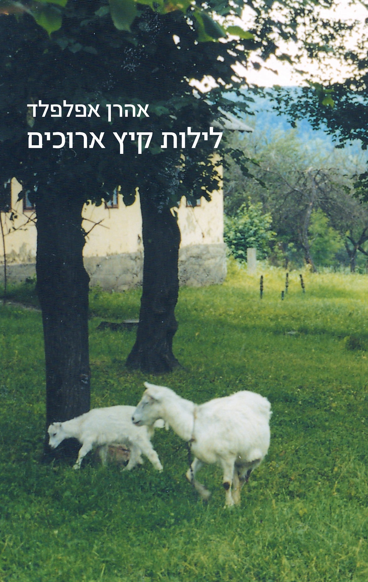 Long Summer Nights - Aharon Appelfeld