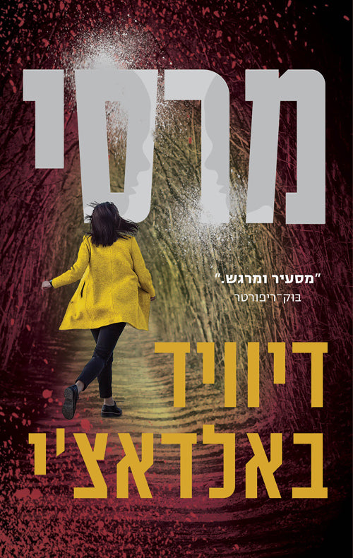 Mercy - David Baldacci