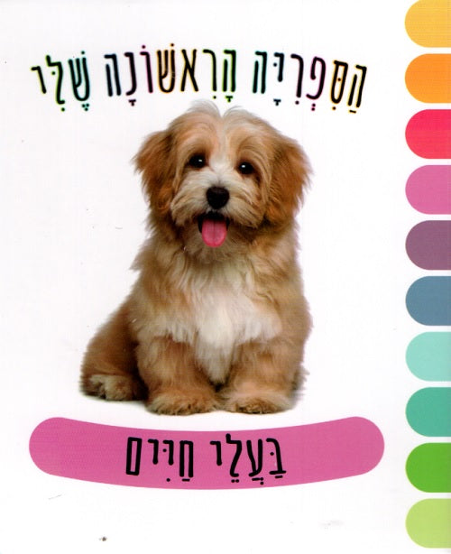 My First Library – Animals