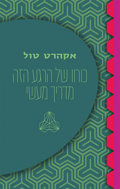 The Power of Now Practical Guide - Eckhart Tolle