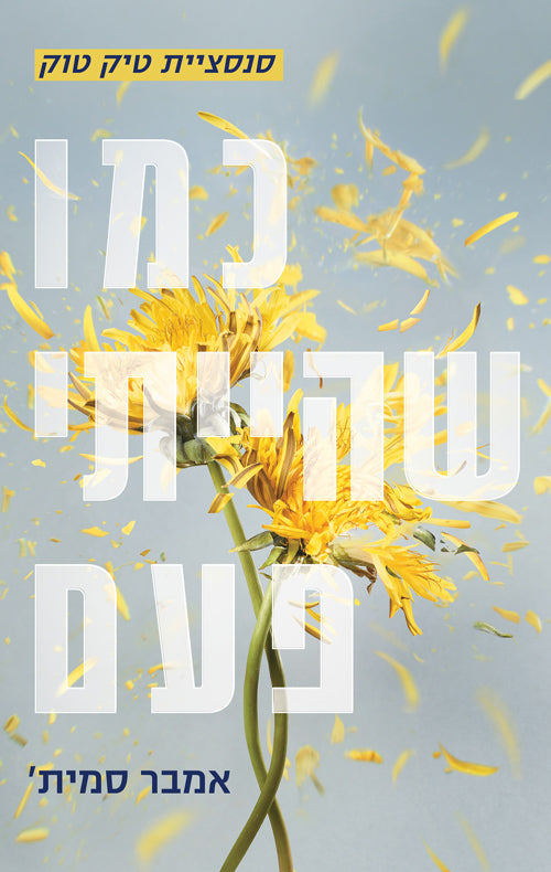 The Way I Used to be - Amber Smith