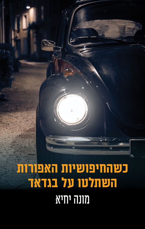 When the Grey Beetles took over Baghdad - Mona Yahia