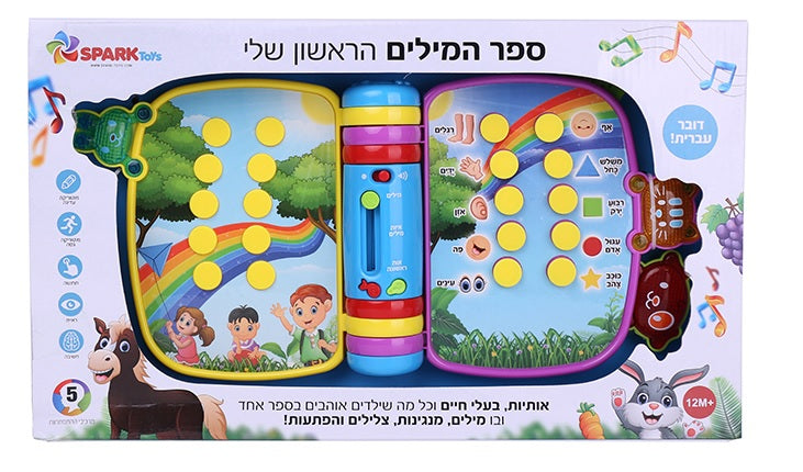 My First Book of Words in Hebrew