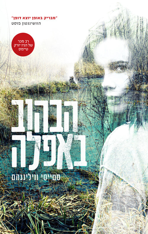 A Flicker in the Dark - Stacy Willingham