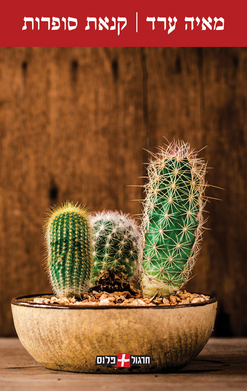 All About Abigail - Maya Arad