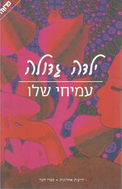 Big Girl - Amichai Shalev