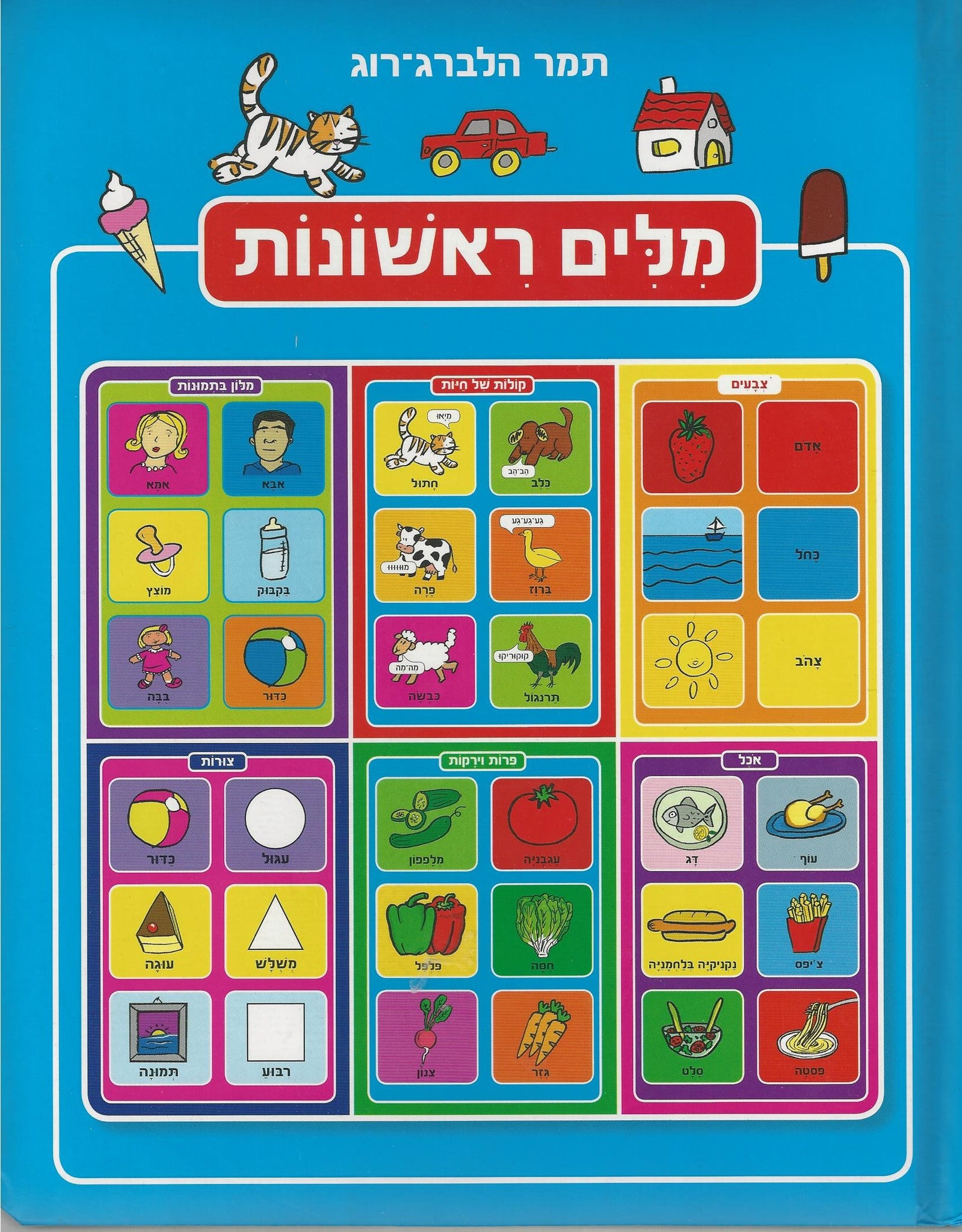 First Words in Hebrew Educational Dictionary Book