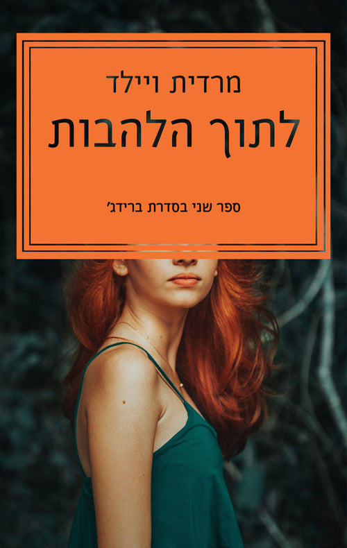 Into The Fire - Meredith Wild