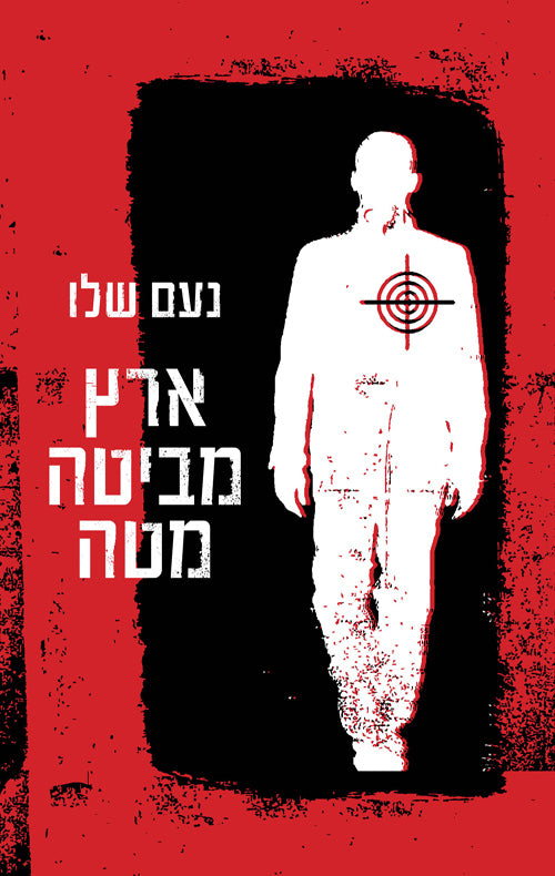 Land Looking Down - Noam Shalev