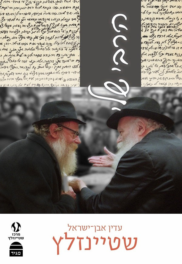 My Rebbe - Rabbi Adin Even Israel Steinsaltz