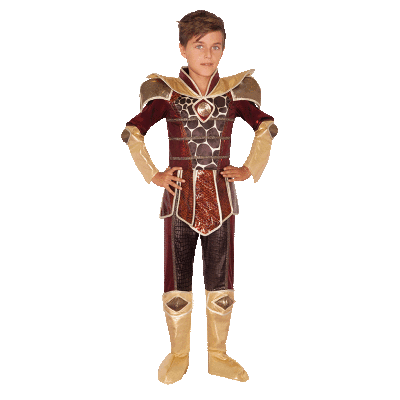 Roy Boy - Heroes of the Light Costume