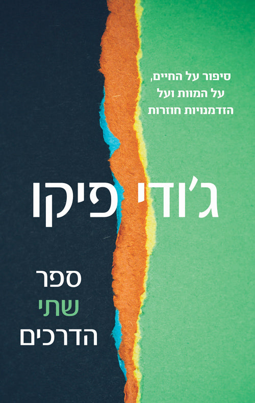 The Book of Two Ways - Jodi Picoult