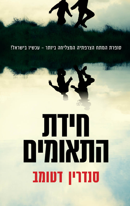 The Twin Riddle - Sandrine Destombes