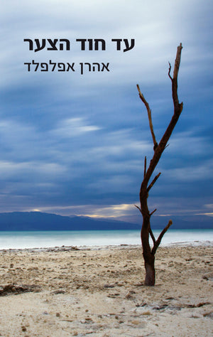 To the Edge of Sorrow - Aharon Appelfeld