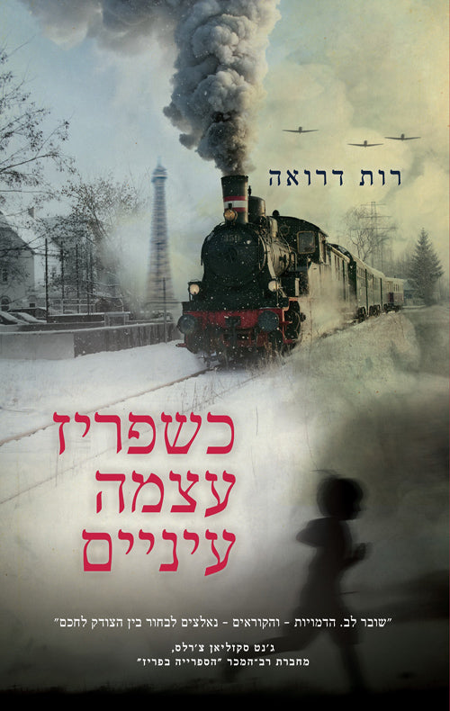 While Paris Slept - Ruth Druart